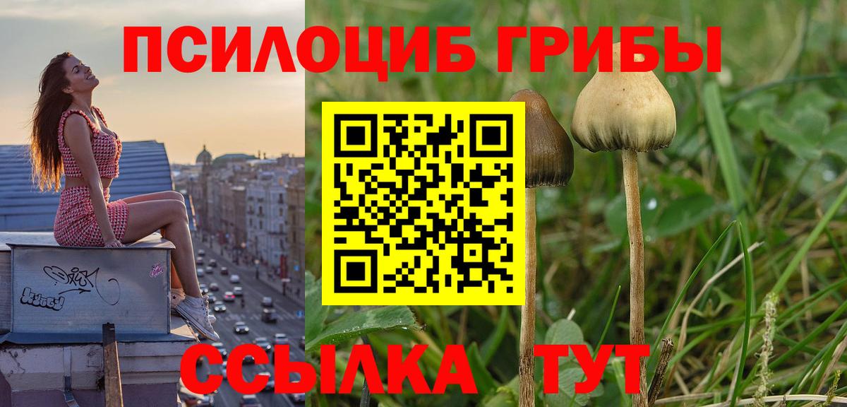 Псилоцибиновые грибы ЛСД  Псилоцибиновые грибы Psilocybine cubensis  Санкт-Петербург  Вход с VPN 